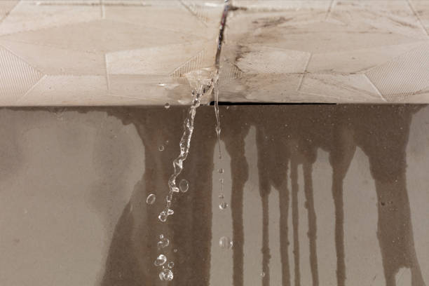 Professional Structural Drying technician working in Camden, TN